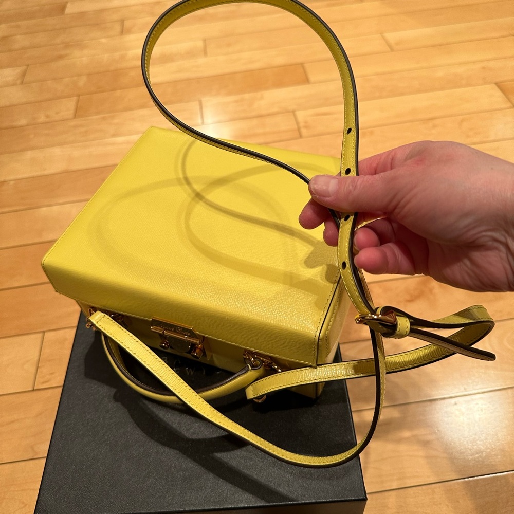 Mark Cross large special order box bag: lemon ice - Picture 13 of 16